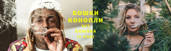mdpv Козловка