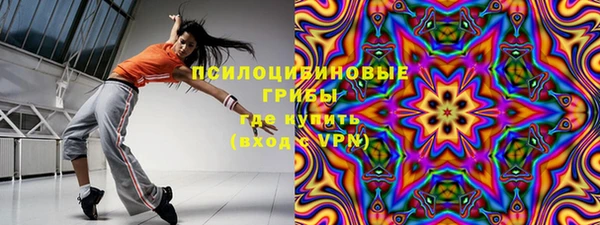 тгк Кодинск