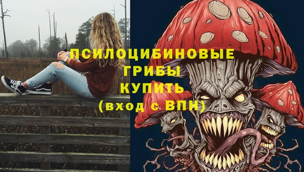 Альфа ПВП Корсаков