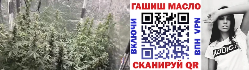 Купить Сурск Дистиллят ТГК жижа